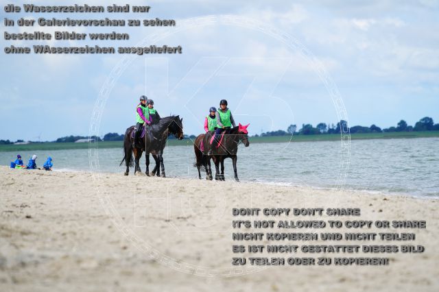 s_K3F05136.JPG